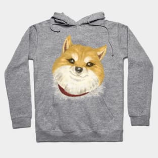 Shiba Inu Portrait Hoodie